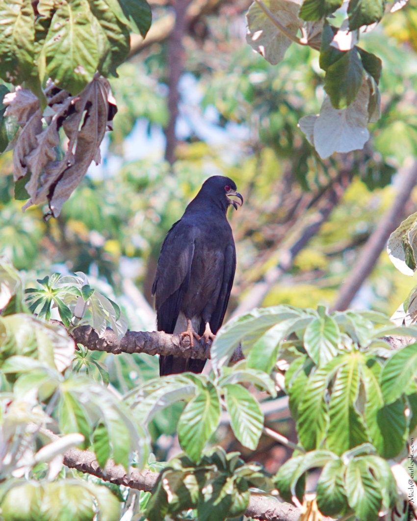 Studio-One.Art.br Repo Fotografia em Rio Preto SP/Brasil