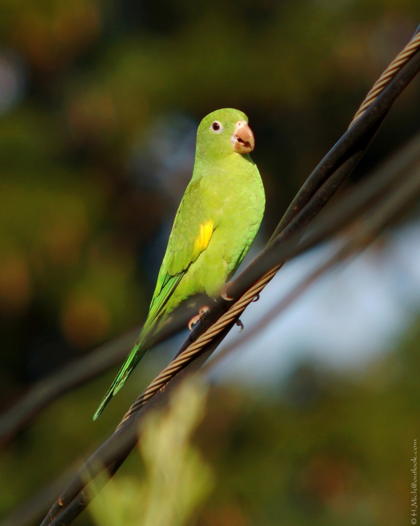 Studio-One.Art.br Repo Fotografia em Rio Preto SP/Brasil