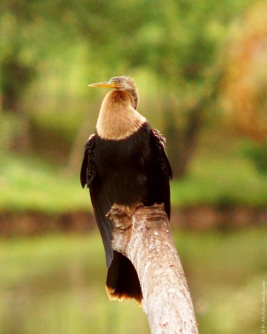 Studio-One.Art.br Repo Fotografia em Rio Preto SP/Brasil