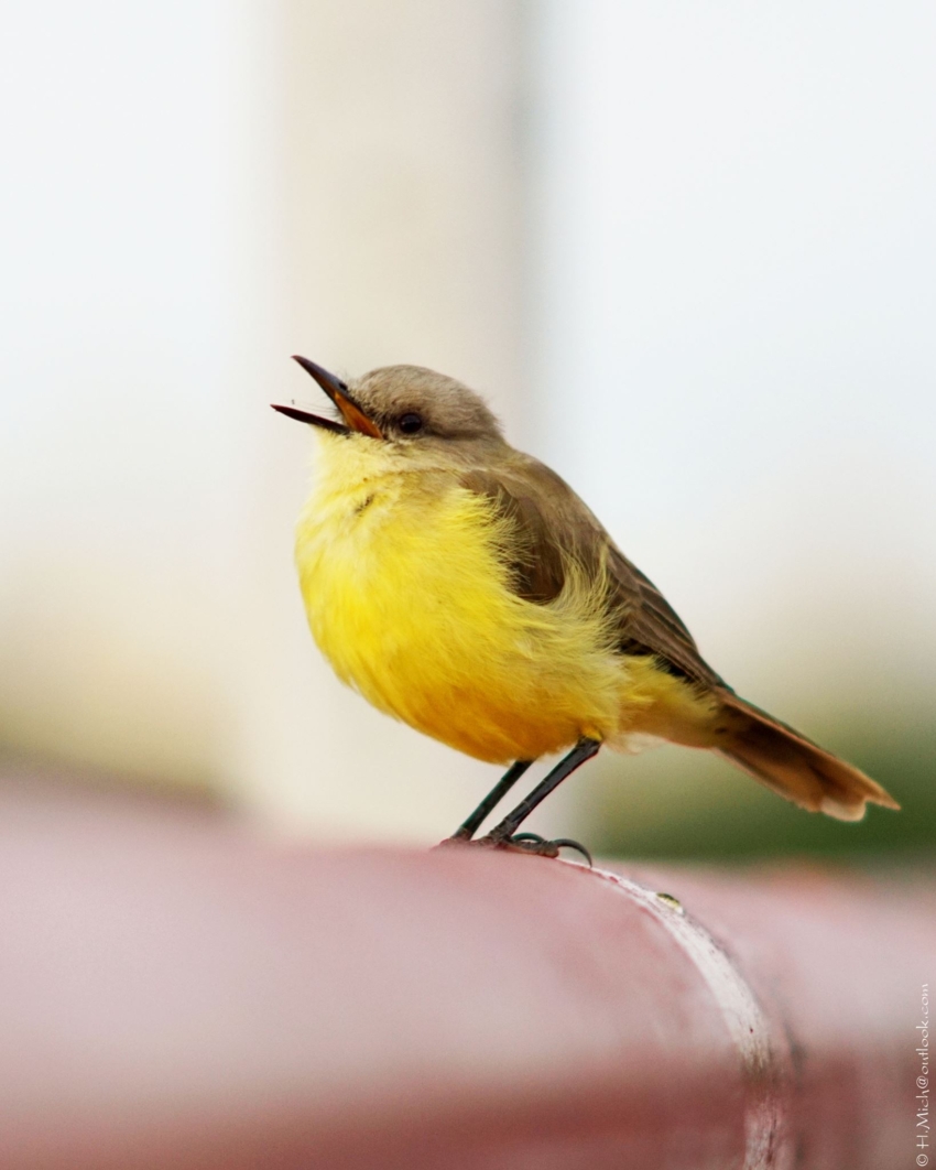 Studio-One.Art.br Repo Fotografia em Rio Preto SP/Brasil