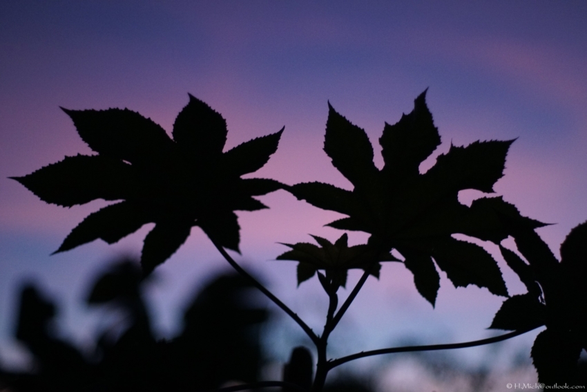 Studio-One.Art.br Repo Fotografia em Rio Preto SP/Brasil