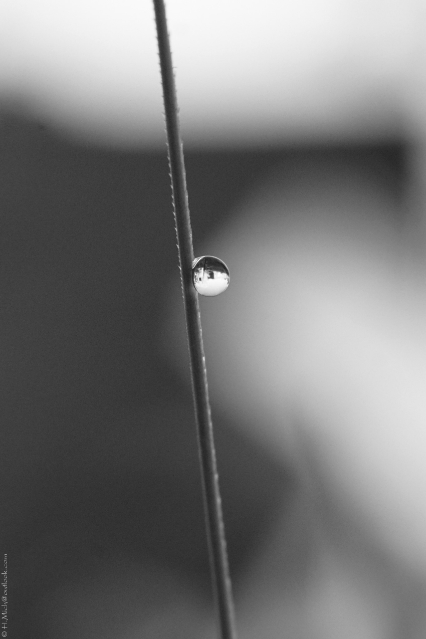 Studio-One.Art.br Repo Fotografia em Rio Preto SP/Brasil