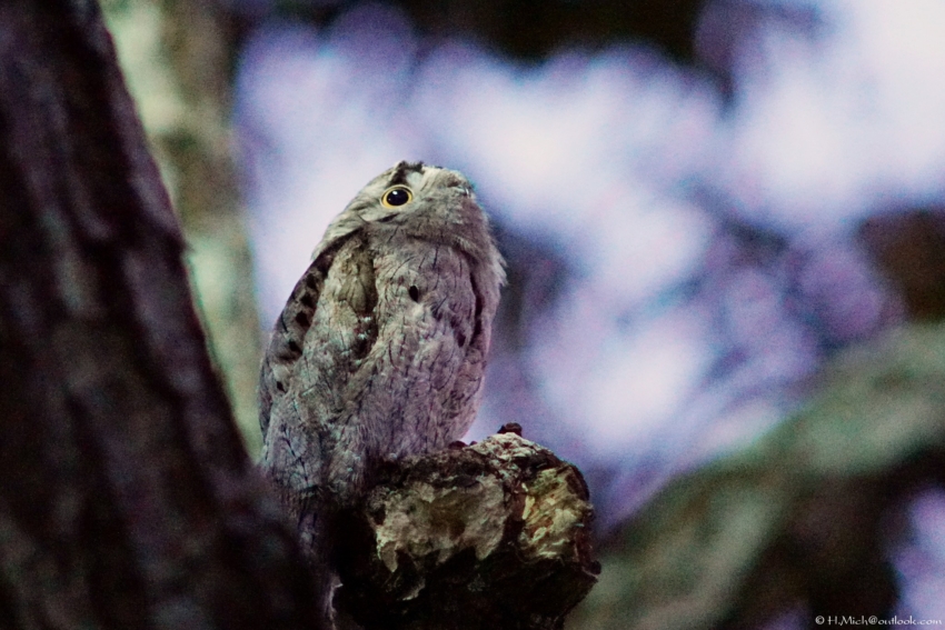 Studio-One.Art.br Repo Fotografia em Rio Preto SP/Brasil