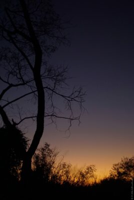 2022 06 15(41)