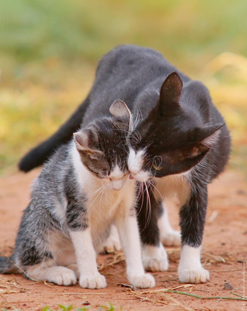 Studio-One.Art.br Repo Fotografia em Rio Preto SP/Brasil