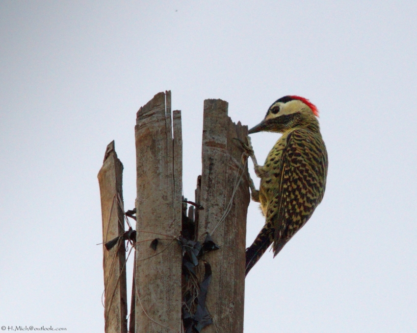 Studio-One.Art.br Repo Fotografia em Rio Preto SP/Brasil