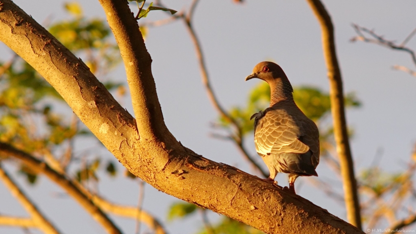 Studio-One.Art.br Repo Fotografia em Rio Preto SP/Brasil