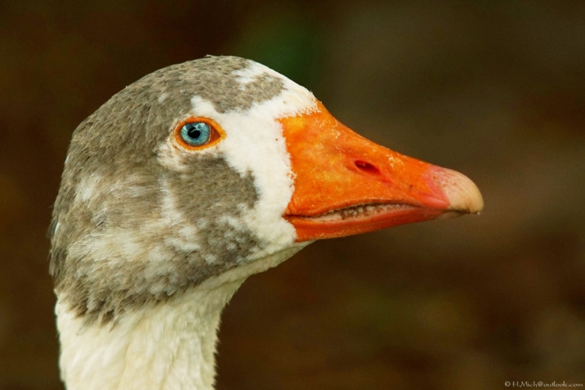 Studio-One.Art.br Repo Fotografia em Rio Preto SP/Brasil