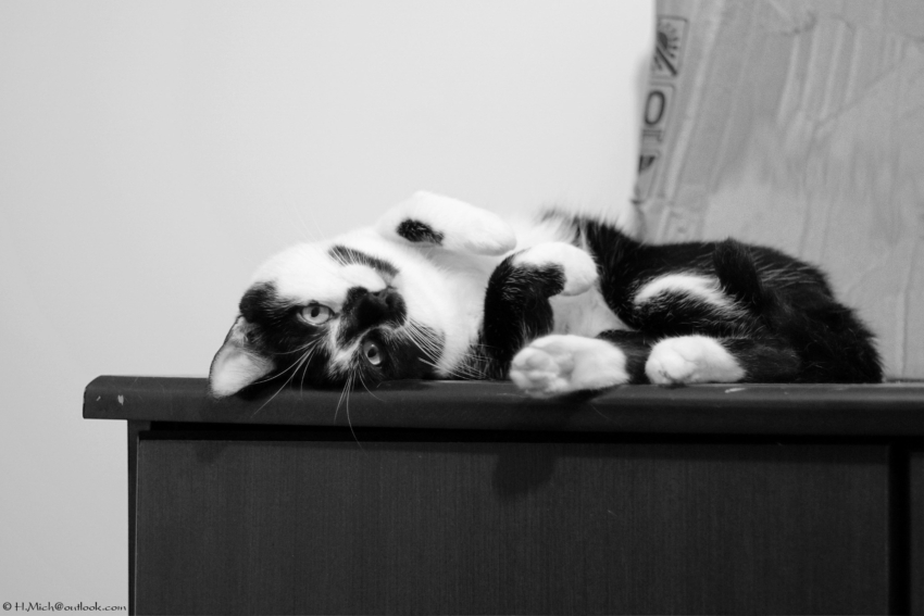 Studio-One.Art.br Repo Fotografia em Rio Preto SP/Brasil