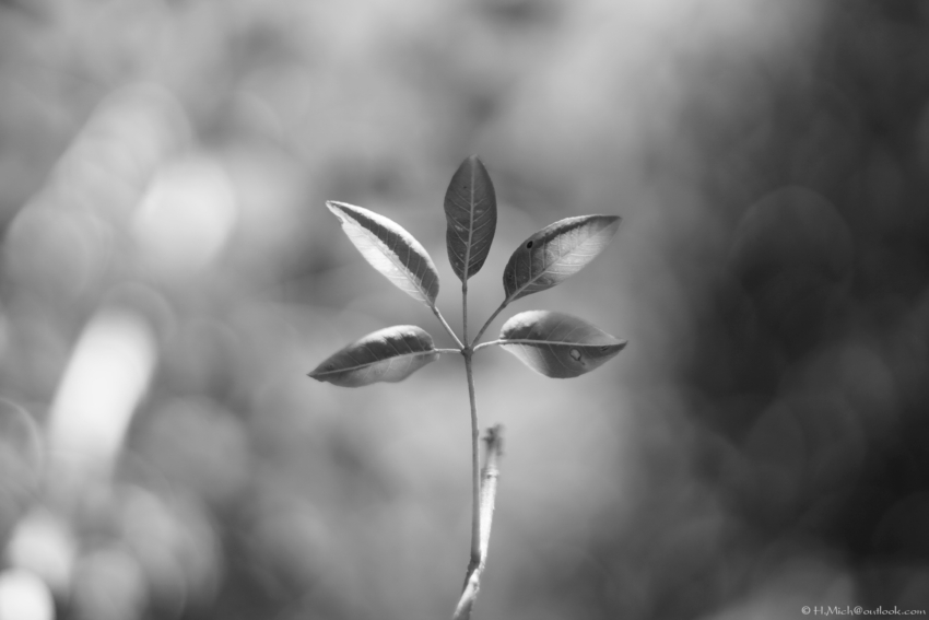 Studio-One.Art.br Repo Fotografia em Rio Preto SP/Brasil