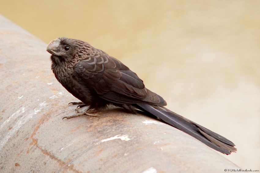 Studio-One.Art.br Repo Fotografia em Rio Preto SP/Brasil