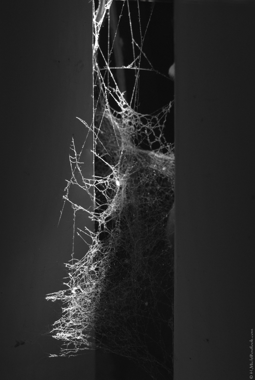 Studio-One.Art.br Repo Fotografia em Rio Preto SP/Brasil