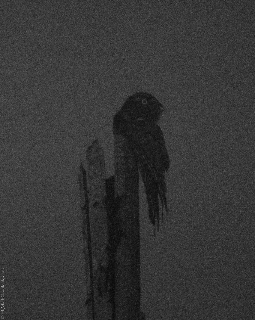 Studio-One.Art.br Repo Fotografia em Rio Preto SP/Brasil