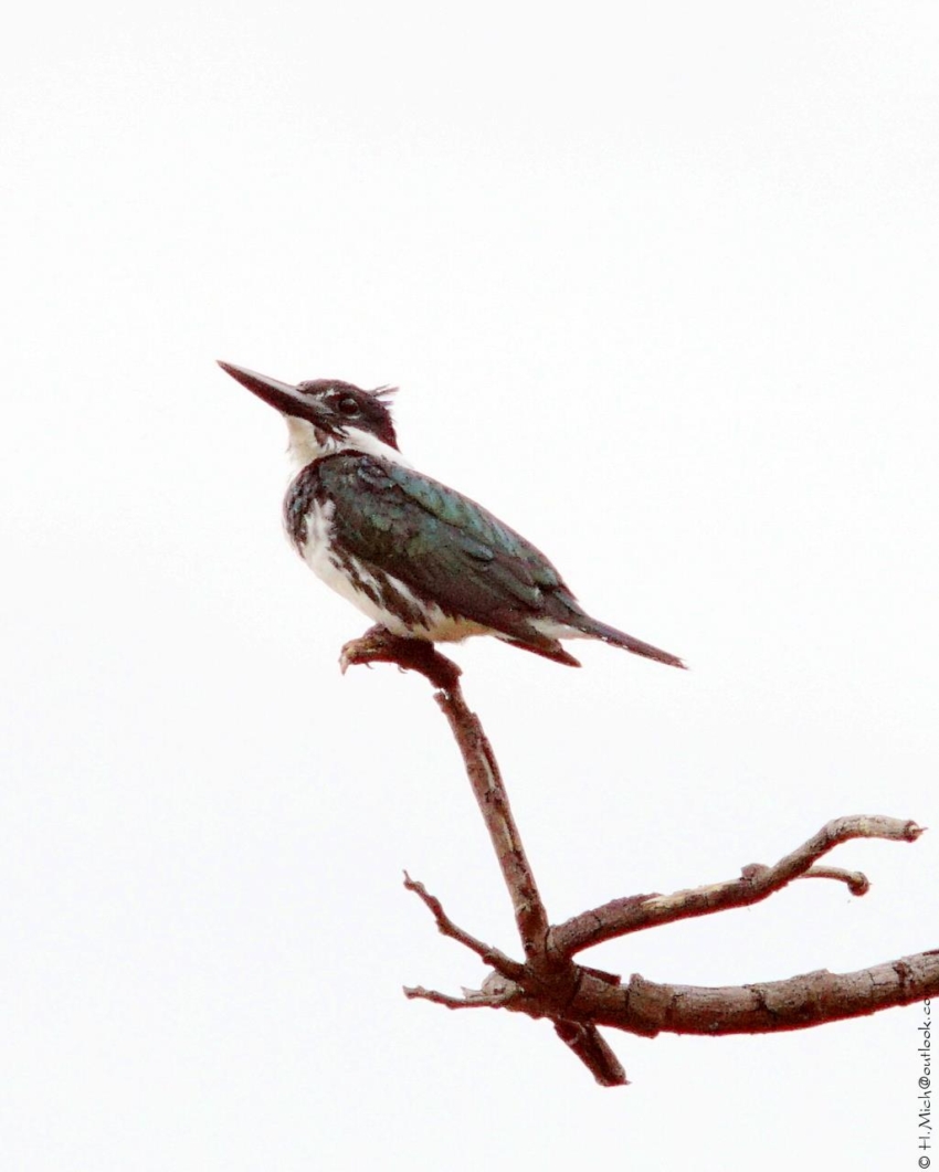 Studio-One.Art.br Repo Fotografia em Rio Preto SP/Brasil