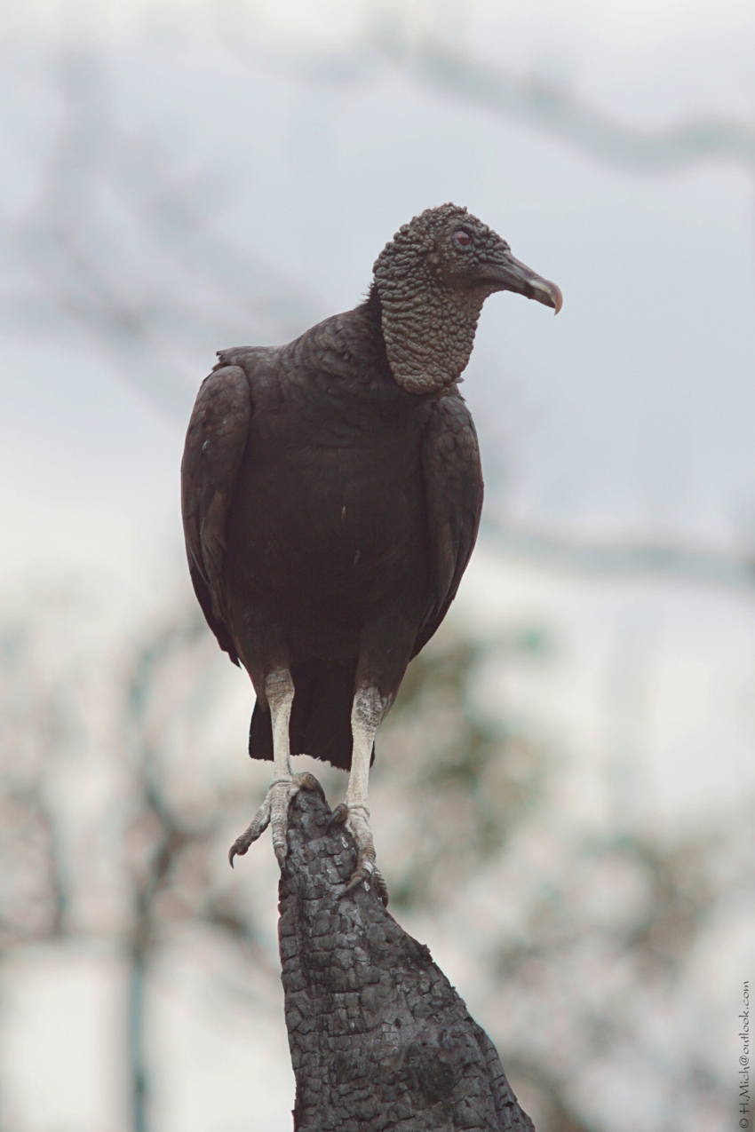 Studio-One.Art.br Repo Fotografia em Rio Preto SP/Brasil