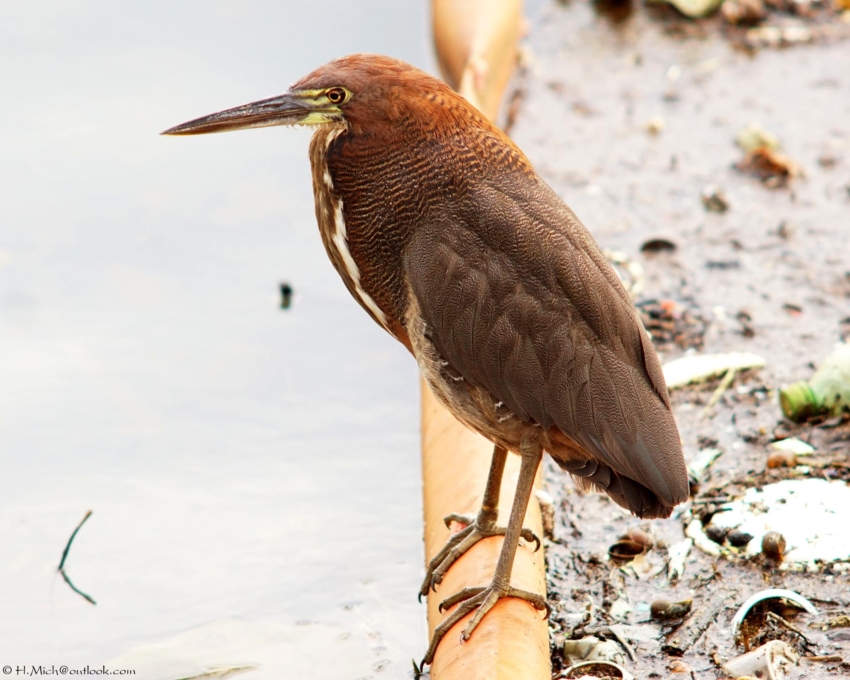 Studio-One.Art.br Repo Fotografia em Rio Preto SP/Brasil