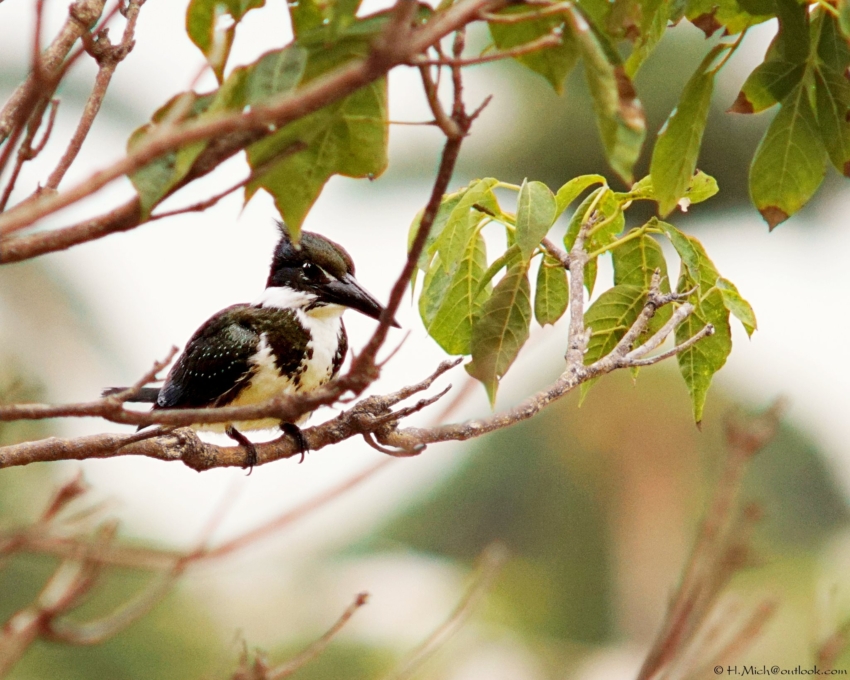 Studio-One.Art.br Repo Fotografia em Rio Preto SP/Brasil