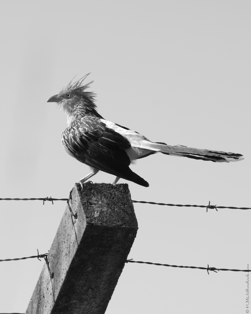 Studio-One.Art.br Repo Fotografia em Rio Preto SP/Brasil