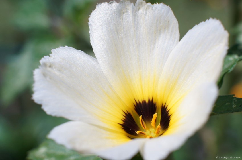 Studio-One.Art.br Repo Fotografia em Rio Preto SP/Brasil