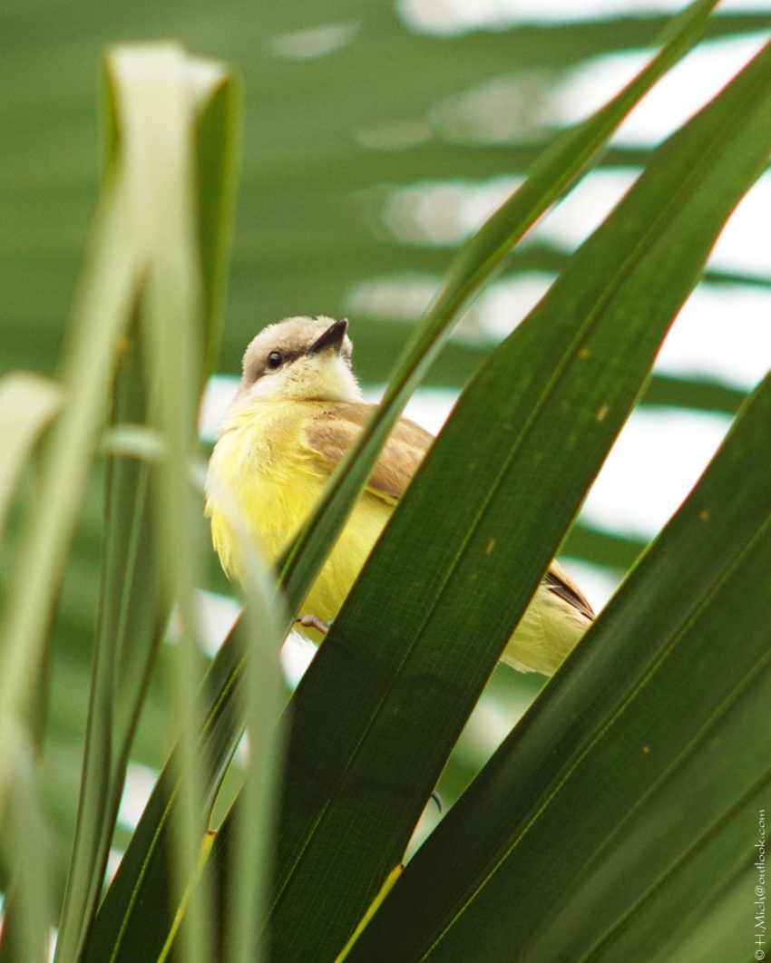 Studio-One.Art.br Repo Fotografia em Rio Preto SP/Brasil