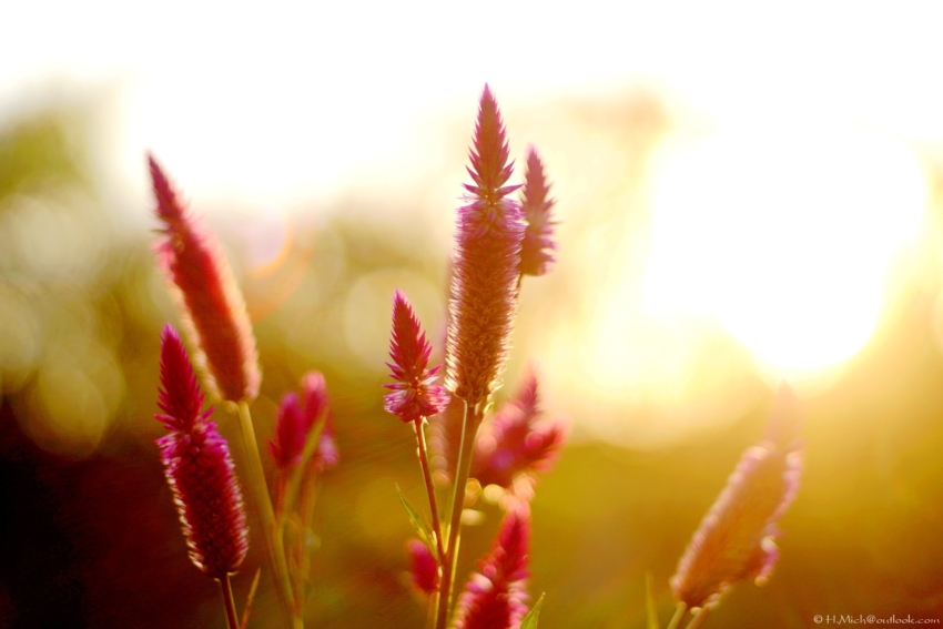 Studio-One.Art.br Repo Fotografia em Rio Preto SP/Brasil