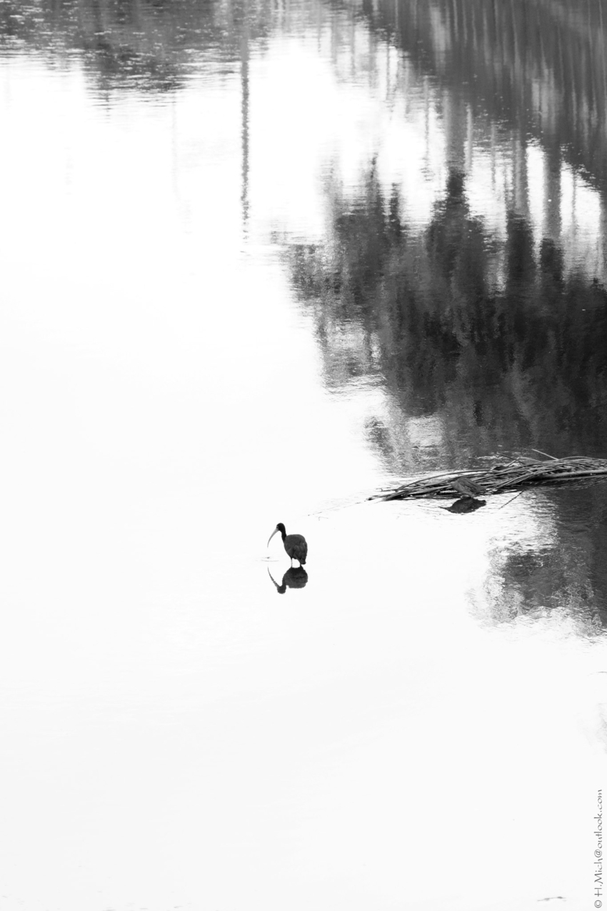 Studio-One.Art.br Repo Fotografia em Rio Preto SP/Brasil