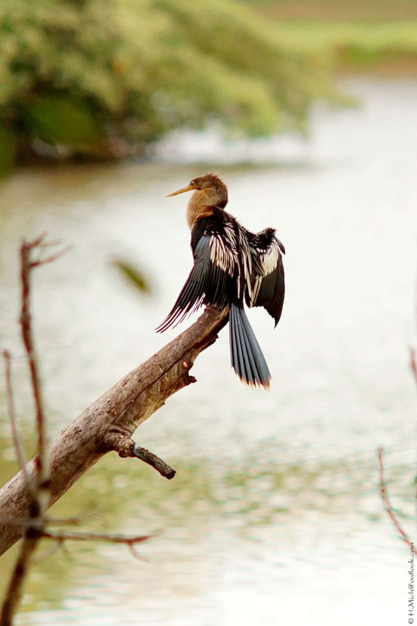 Studio-One.Art.br Repo Fotografia em Rio Preto SP/Brasil