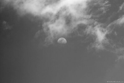 2022 06 15(42)