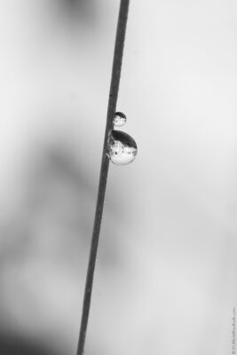 2022 06 15(42)