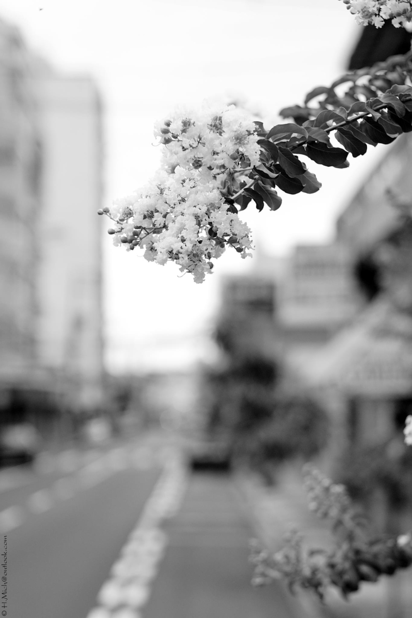 Studio-One.Art.br Repo Fotografia em Rio Preto SP/Brasil