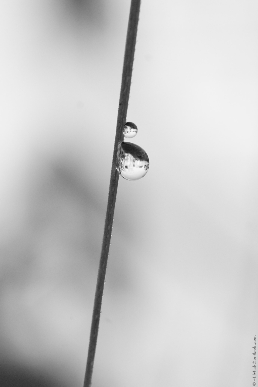 Studio-One.Art.br Repo Fotografia em Rio Preto SP/Brasil