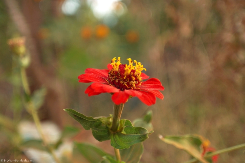 Studio-One.Art.br Repo Fotografia em Rio Preto SP/Brasil