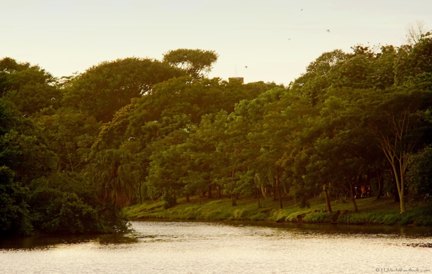 Studio-One.Art.br Repo Fotografia em Rio Preto SP/Brasil