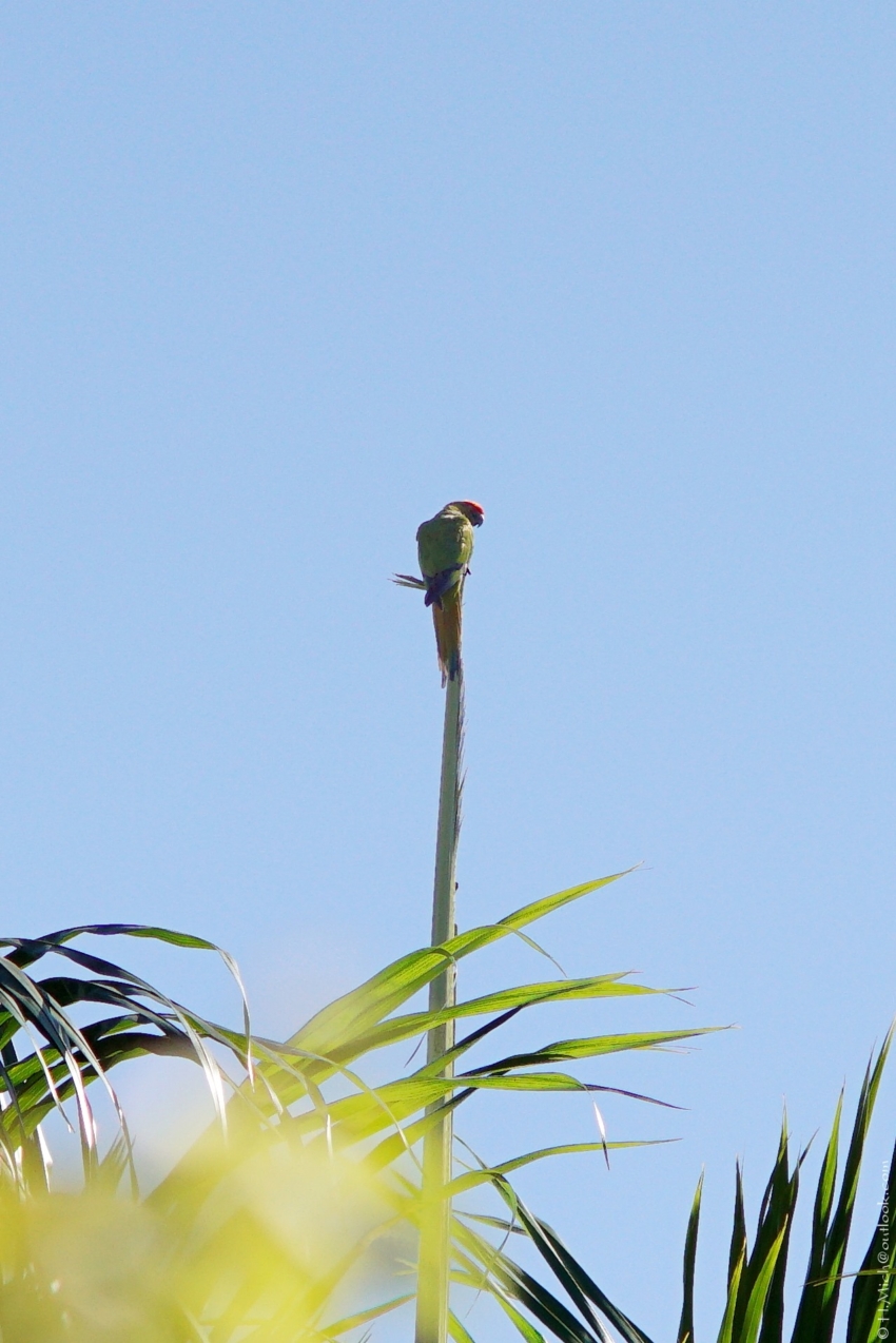Studio-One.Art.br Repo Fotografia em Rio Preto SP/Brasil