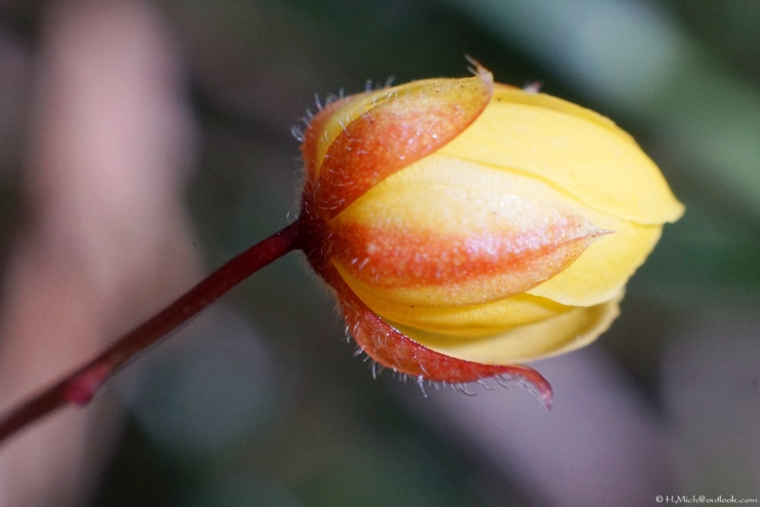 Studio-One.Art.br Repo Fotografia em Rio Preto SP/Brasil