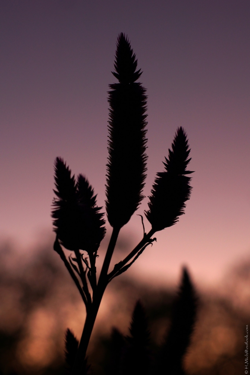 Studio-One.Art.br Repo Fotografia em Rio Preto SP/Brasil