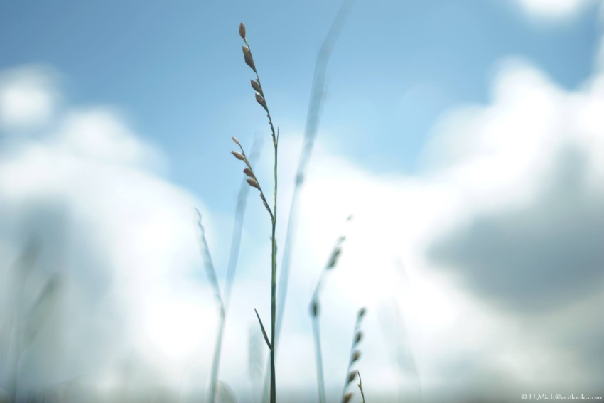 Studio-One.Art.br Repo Fotografia em Rio Preto SP/Brasil