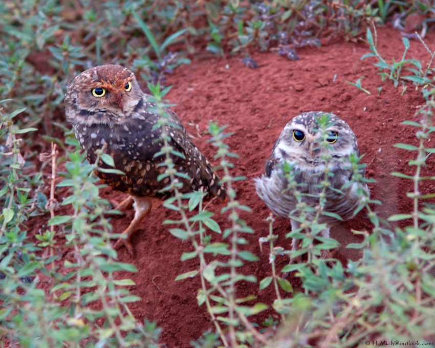 Studio-One.Art.br Repo Fotografia em Rio Preto SP/Brasil