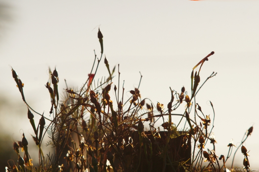 Studio-One.Art.br Repo Fotografia em Rio Preto SP/Brasil