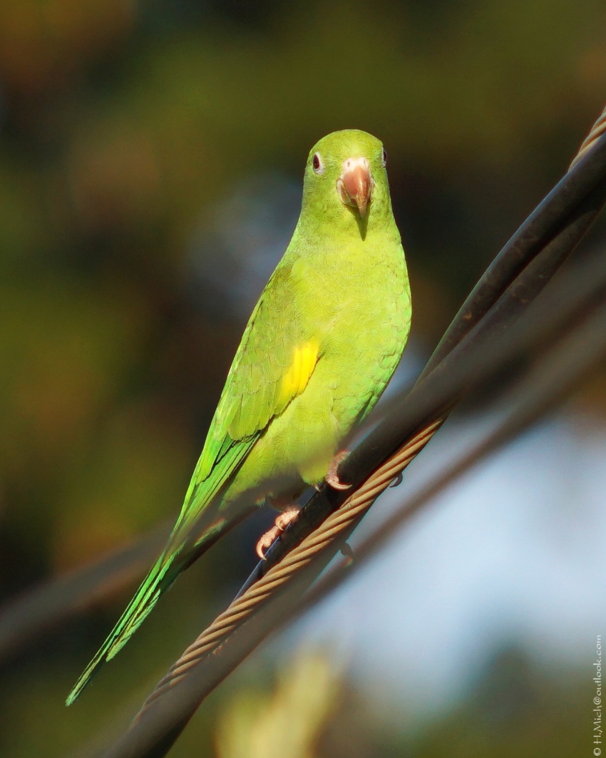 Studio-One.Art.br Repo Fotografia em Rio Preto SP/Brasil