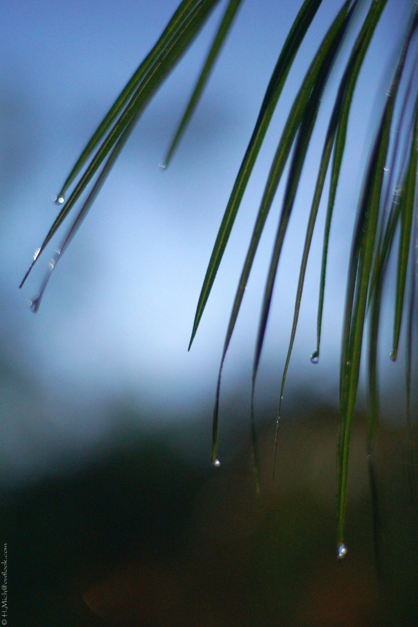Studio-One.Art.br Repo Fotografia em Rio Preto SP/Brasil