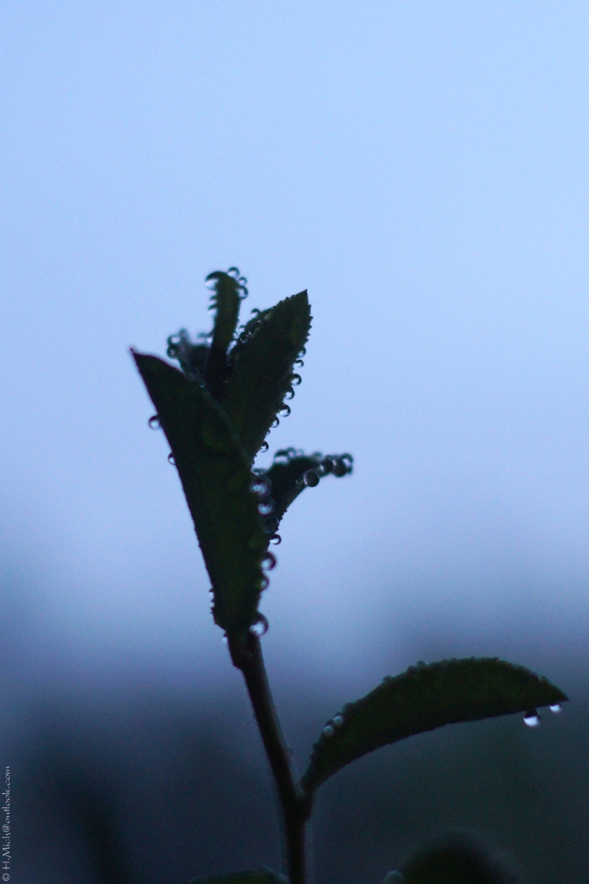 Studio-One.Art.br Repo Fotografia em Rio Preto SP/Brasil