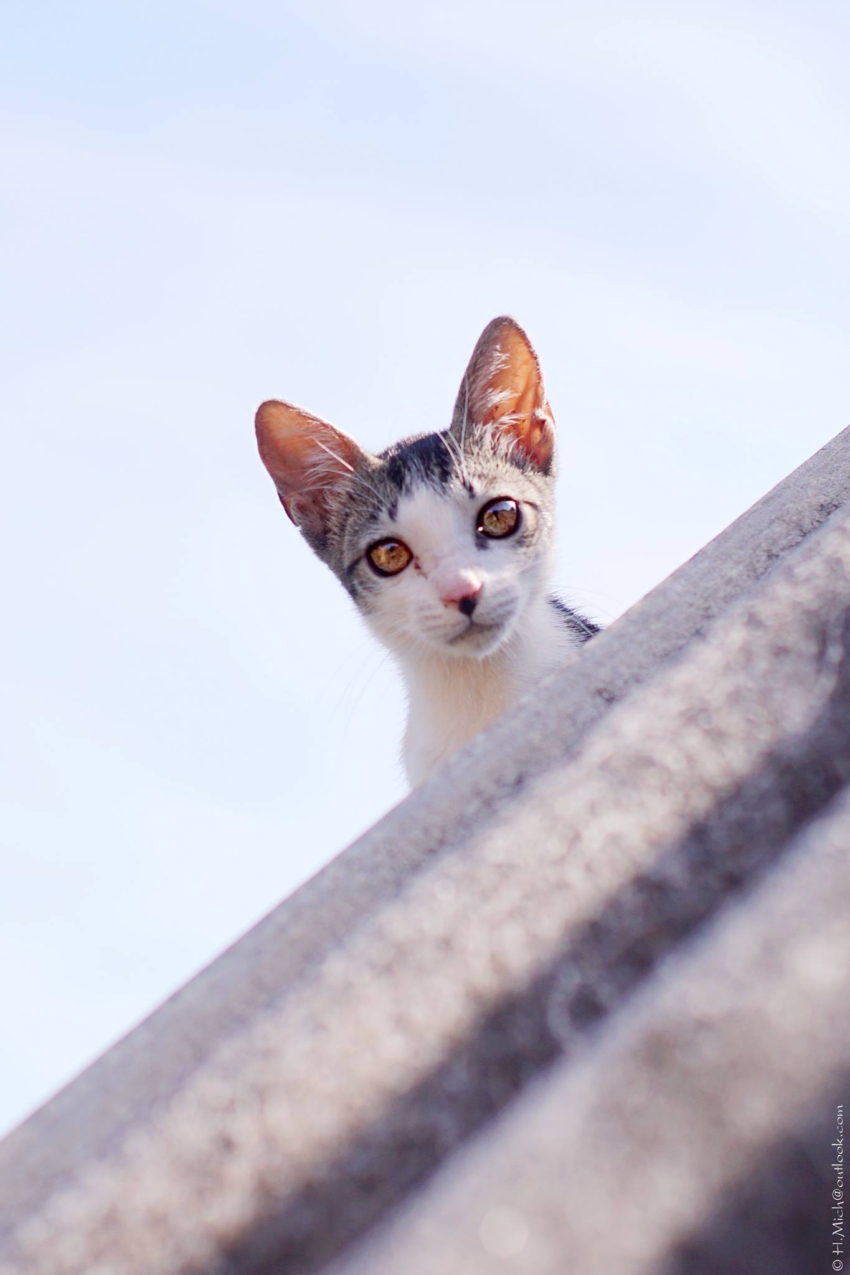 Studio-One.Art.br Repo Fotografia em Rio Preto SP/Brasil