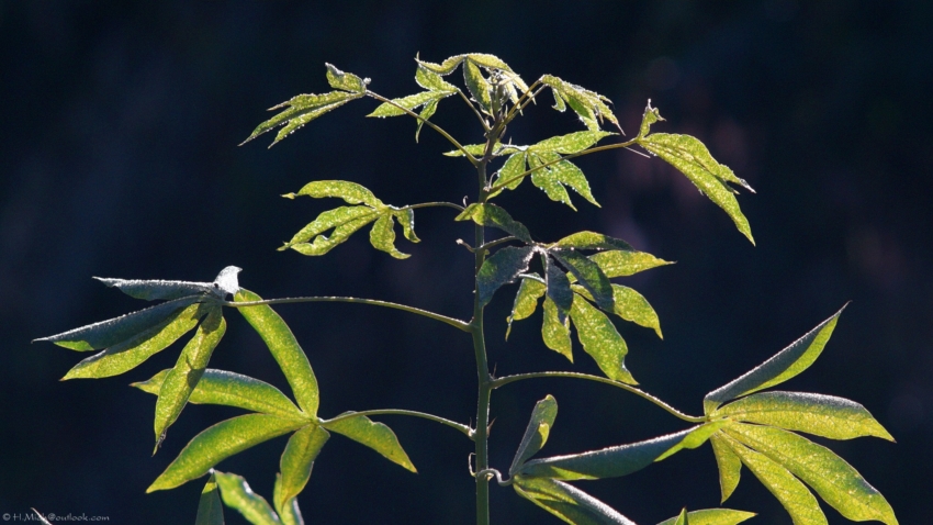 Studio-One.Art.br Repo Fotografia em Rio Preto SP/Brasil