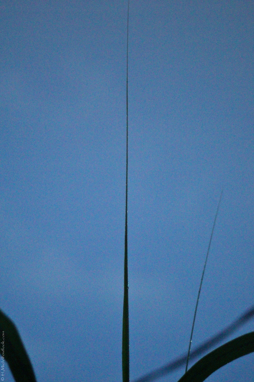 Studio-One.Art.br Repo Fotografia em Rio Preto SP/Brasil