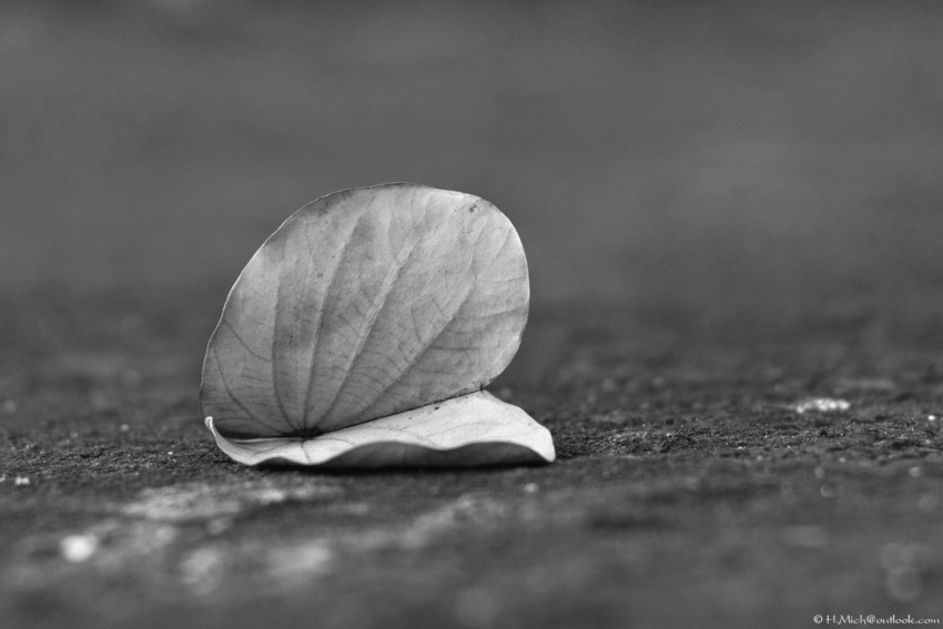 Studio-One.Art.br Repo Fotografia em Rio Preto SP/Brasil