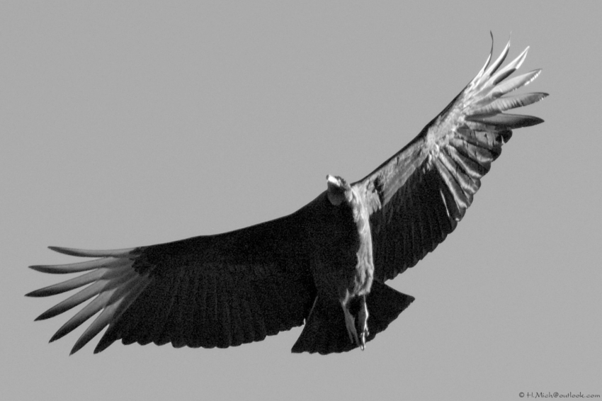 Studio-One.Art.br Repo Fotografia em Rio Preto SP/Brasil