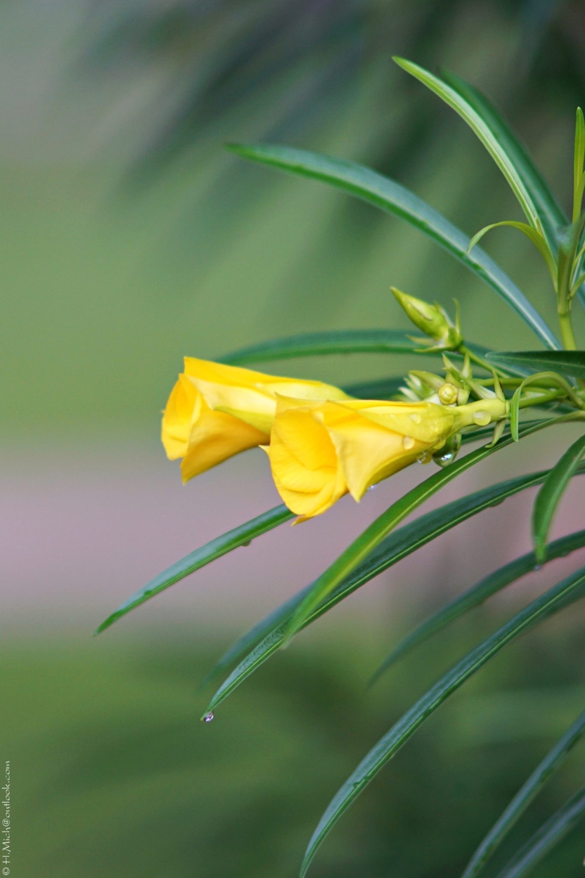 Studio-One.Art.br Repo Fotografia em Rio Preto SP/Brasil