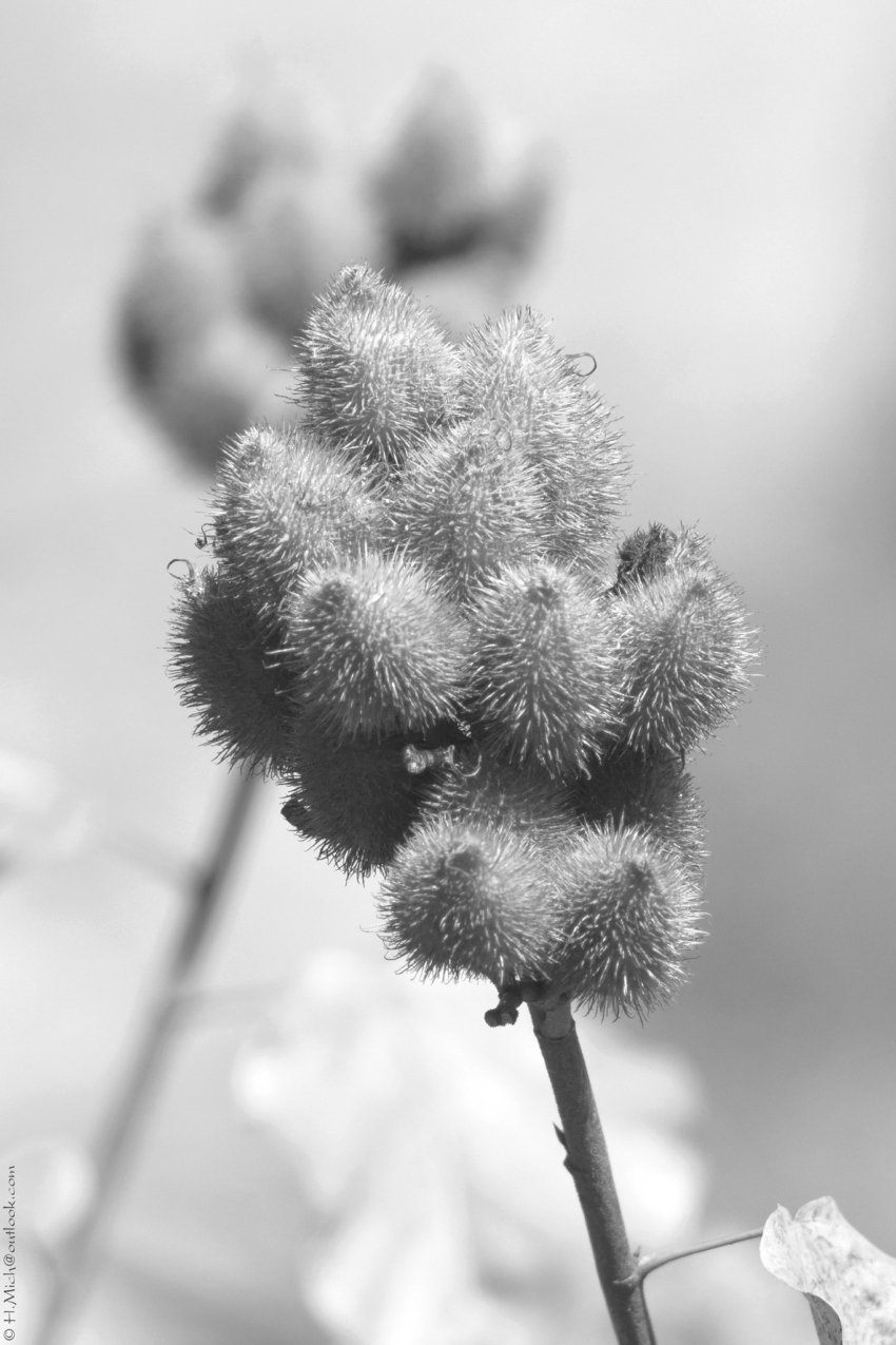 Studio-One.Art.br Repo Fotografia em Rio Preto SP/Brasil