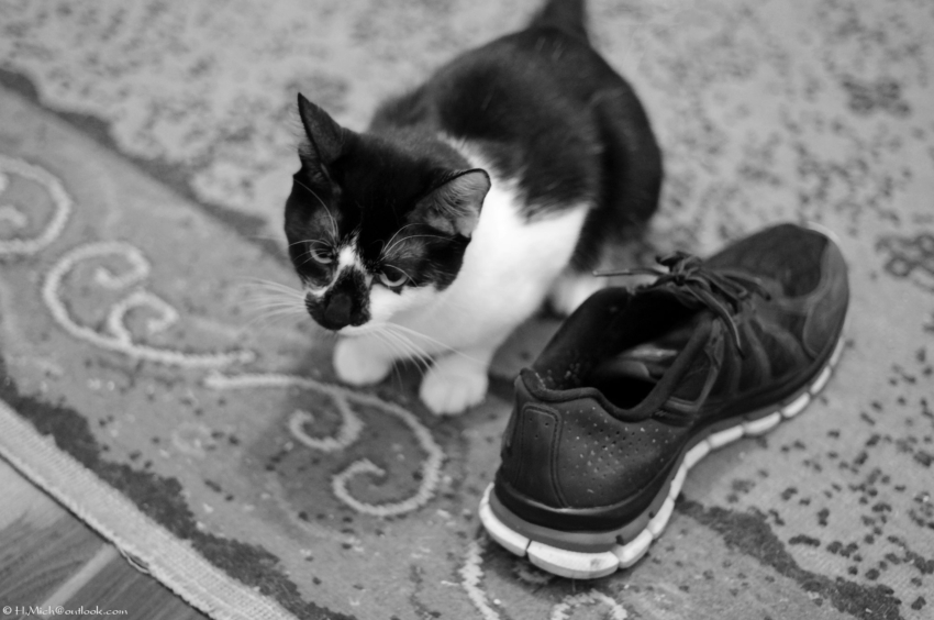 Studio-One.Art.br Repo Fotografia em Rio Preto SP/Brasil